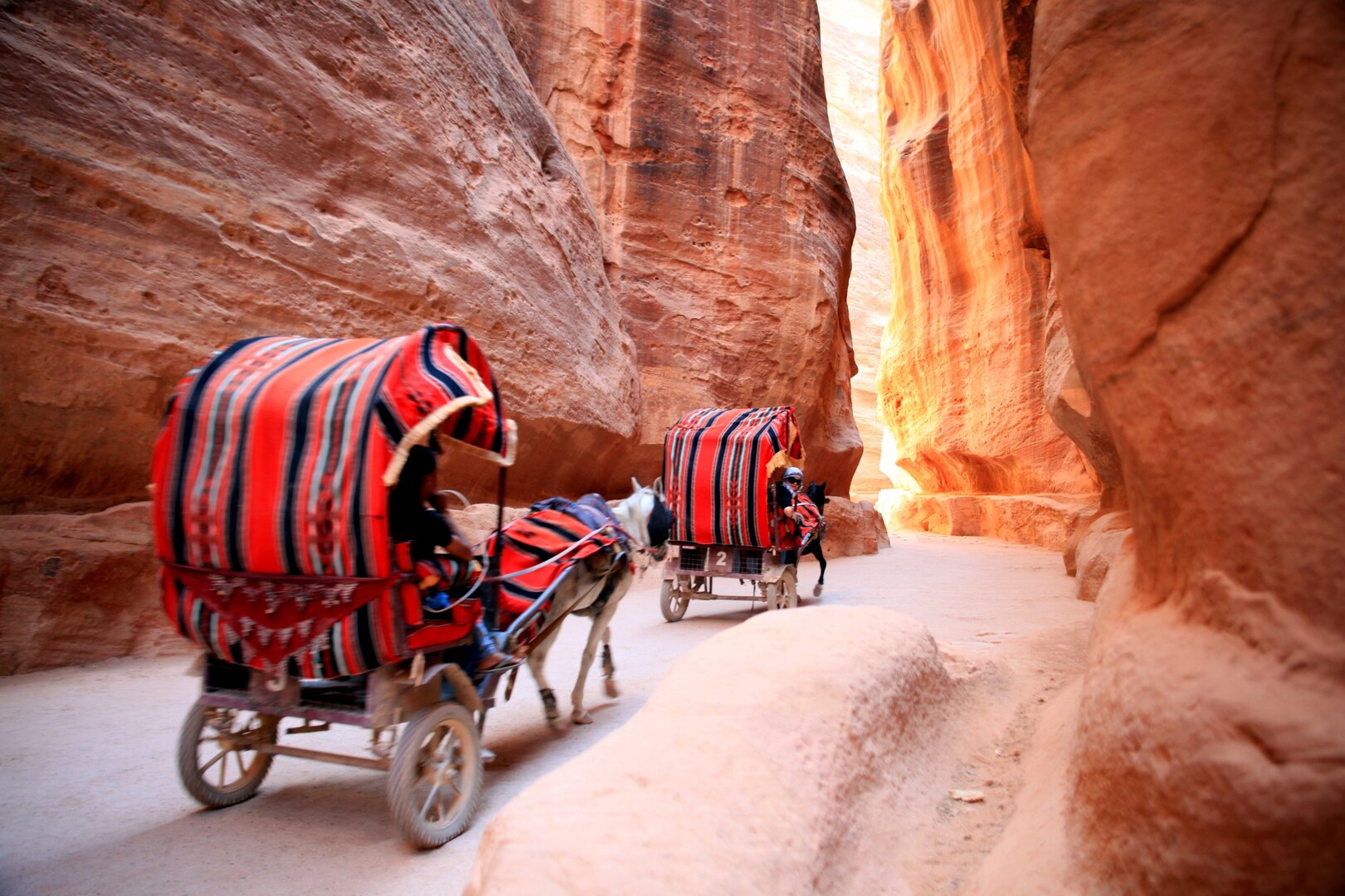 Visitors on a donkey-drawn tour in Petra, Jordan, an adventure for families