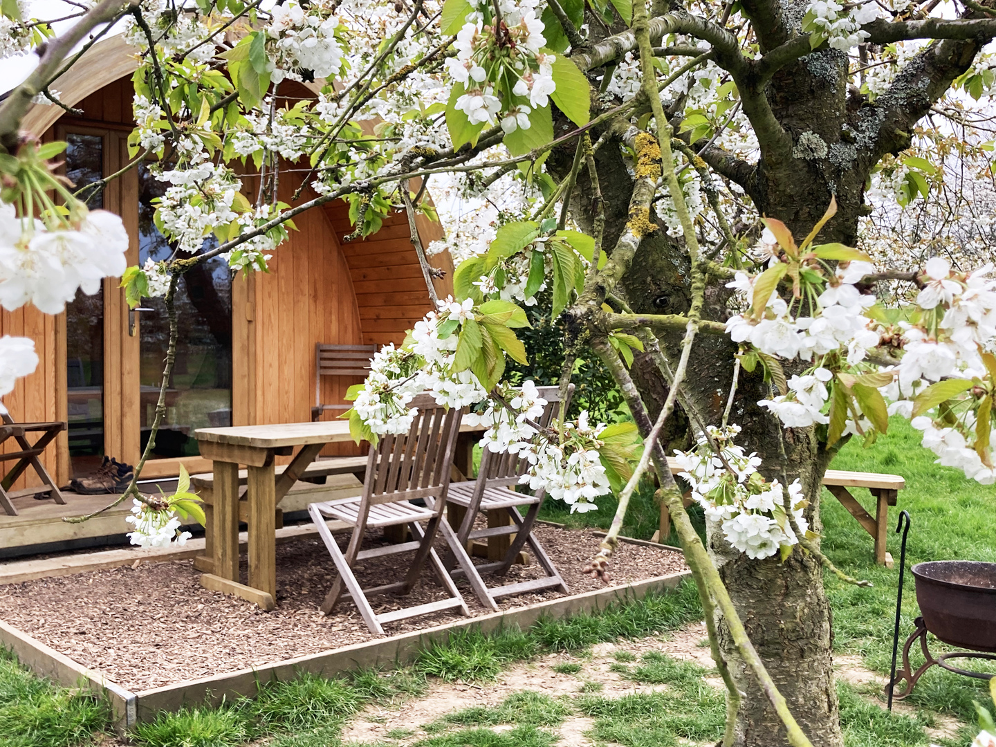 Wooden cabin with table and chairs, partially obscured by a blossoming tree.